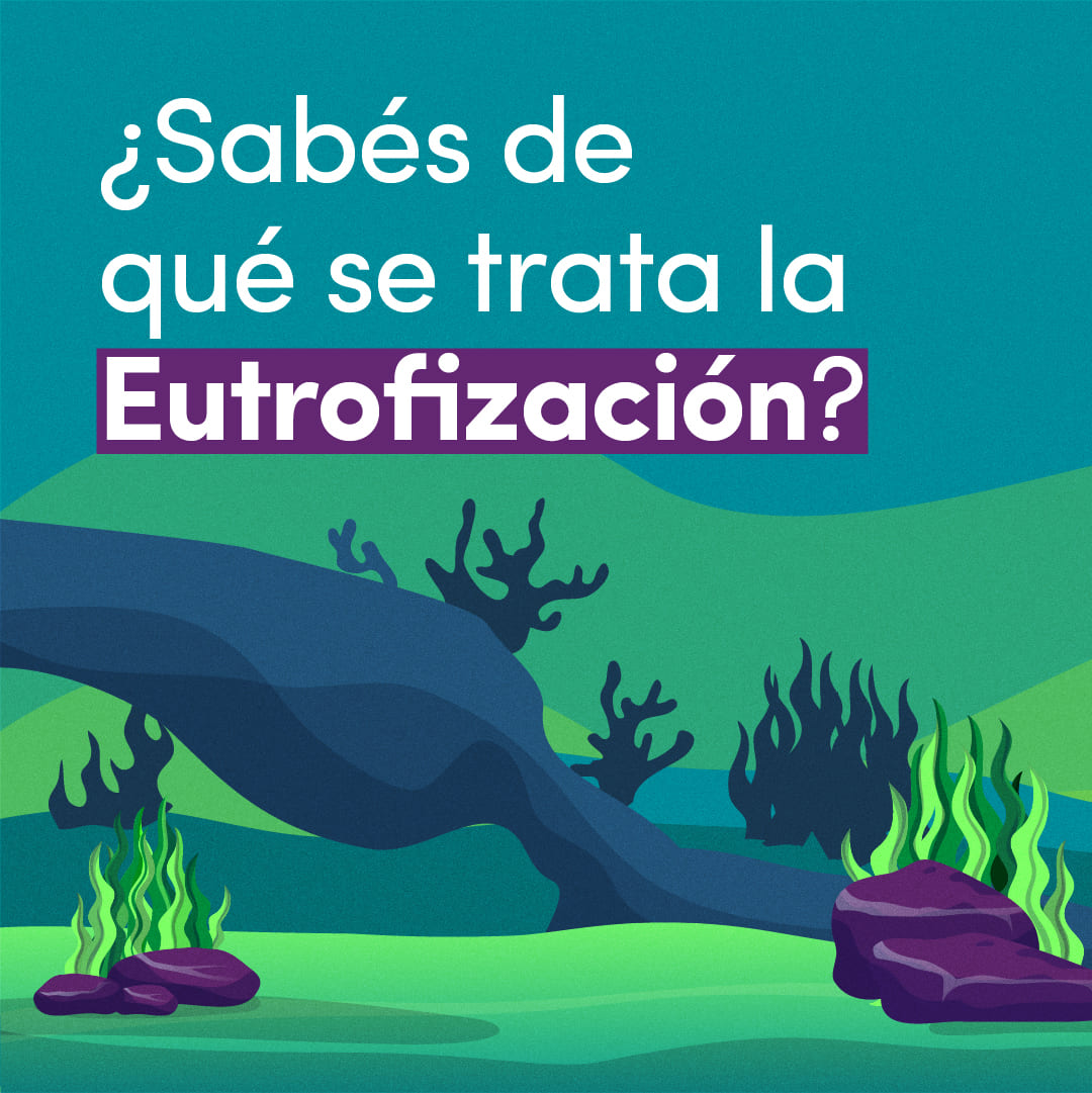 Climaticas + Sprite RRSS-13