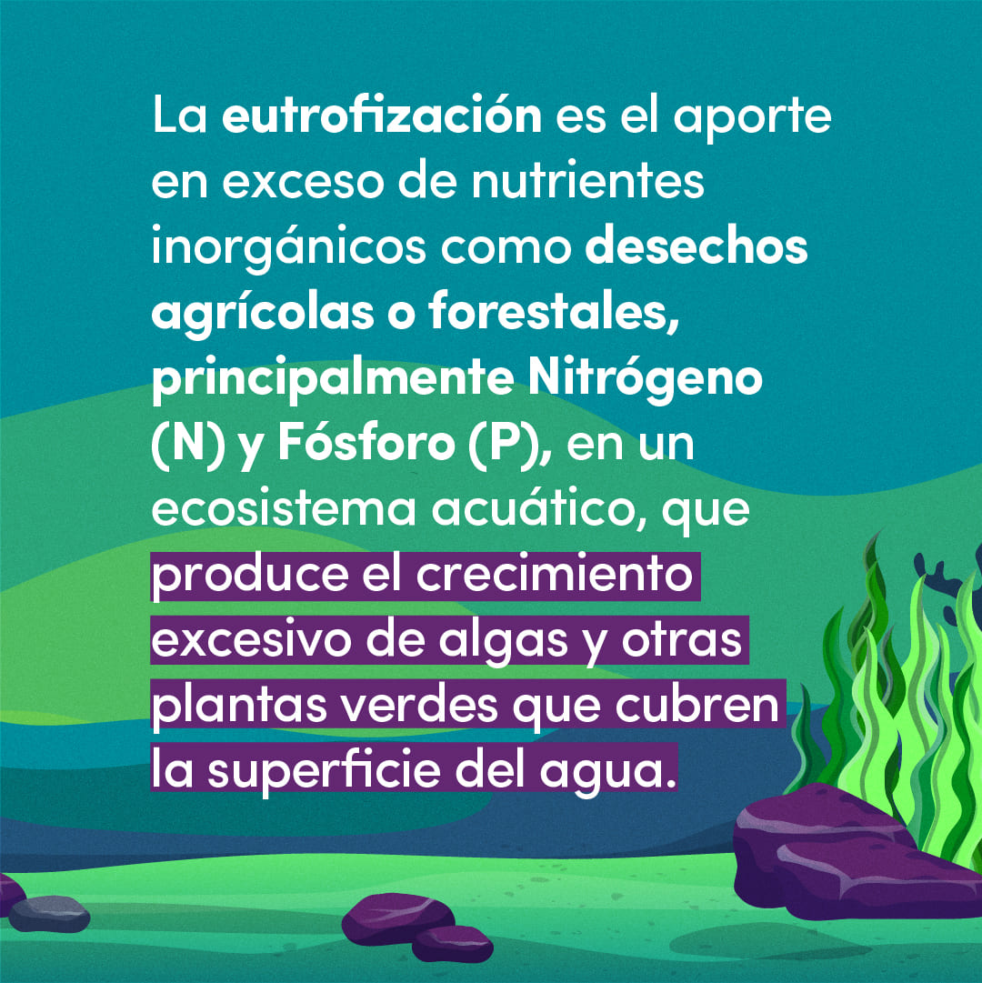 Climaticas + Sprite RRSS-14