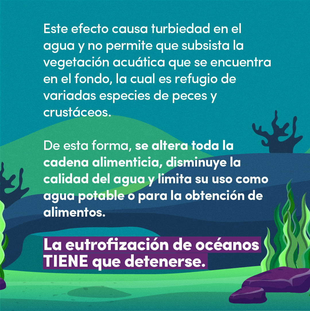 Climaticas + Sprite RRSS-15